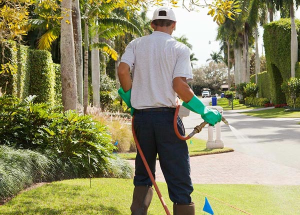 About Silver Lake KS Pest Control